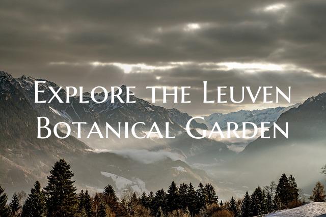 Explore the Leuven Botanical Garden