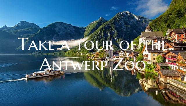Take a tour of the Antwerp Zoo