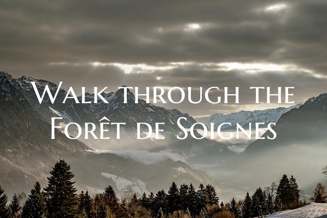 Walk through the Forêt de Soignes